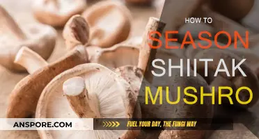 Shiitake Secrets: Seasoning to Perfection
