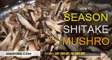 The Ultimate Guide to Seasoning Shiitake Mushrooms