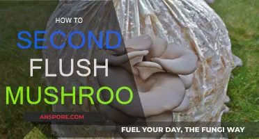 Flushing Mushrooms: The Second Time's the Charm