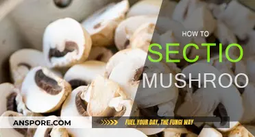 Slicing Secrets: Mastering the Art of Mushroom Sectioning