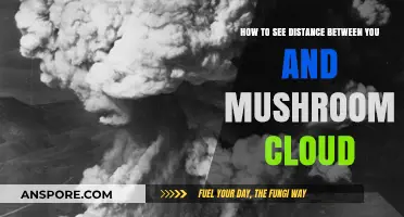 Surviving the Blast: Measuring Distance from a Mushroom Cloud Safely