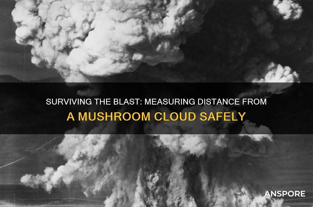 how to see distance between you and mushroom cloud