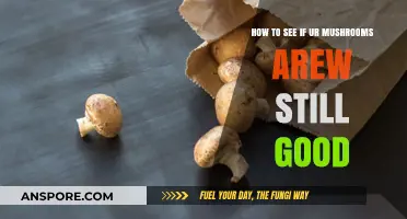 Checking Mushroom Freshness: Simple Tips to Determine If They're Still Good
