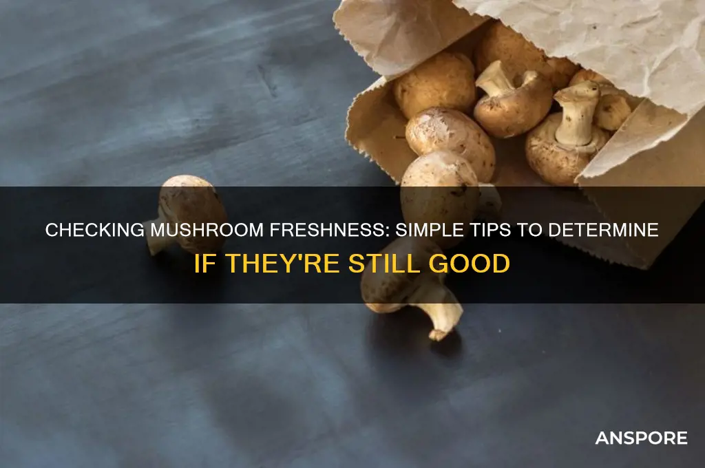 how to see if ur mushrooms arew still good