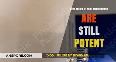 Checking Mushroom Potency: Simple Tips to Test Their Strength