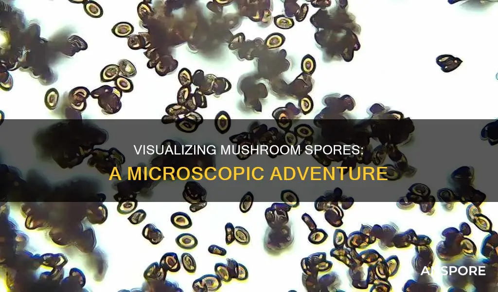 how to see mushroom spores