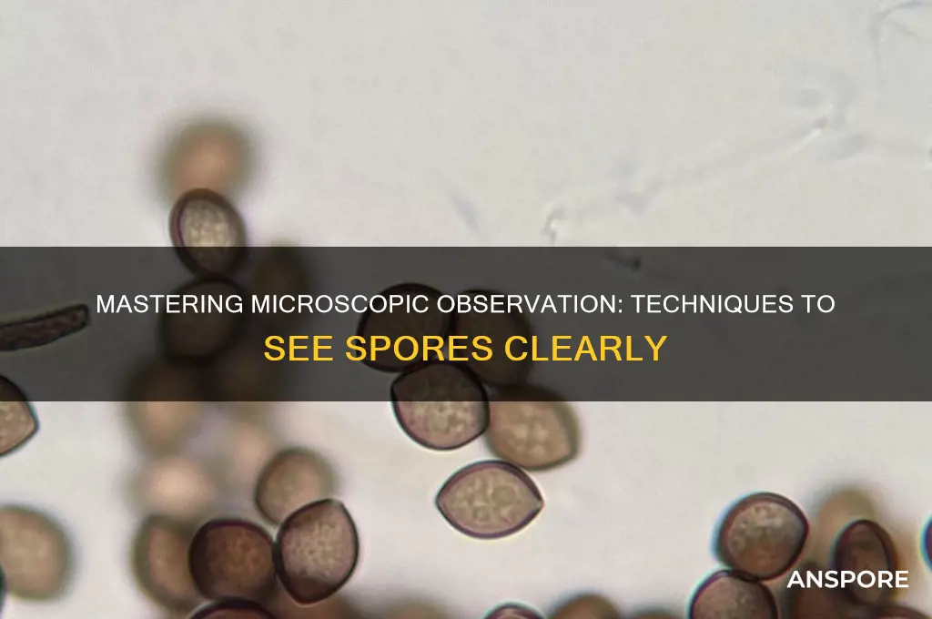 how to see spores