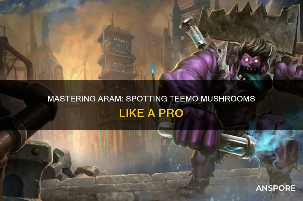how to see teemo mushrooms in aram