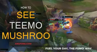 Strategies for Spotting Teemo's Mushrooms