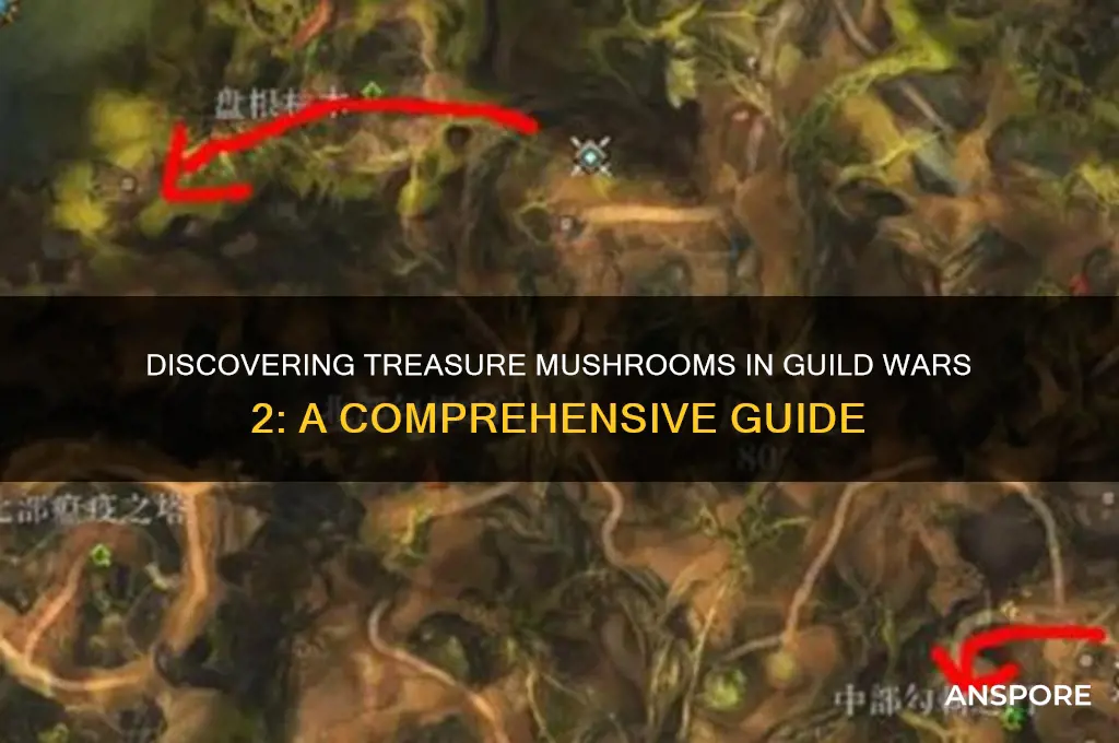 how to see treasure mushroom gw2