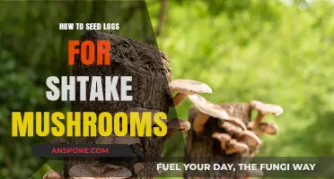 Mastering Mushroom Cultivation: Effective Log Seeding for Shiitake Growth