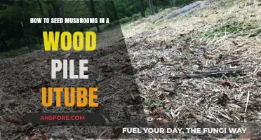 Seeding Mushrooms in Wood Piles: A Step-by-Step YouTube Guide