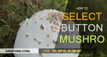 Selecting the Best Button Mushrooms: A Quick Guide