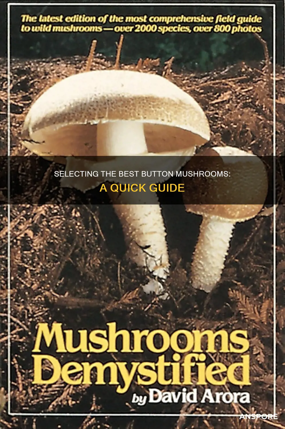 how to select button mushrooms