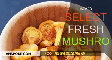 Select Mushrooms: Freshness and Quality Guide