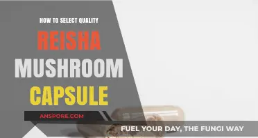 Choosing Premium Reisha Mushroom Capsules: A Comprehensive Quality Guide