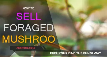 Foraged Mushrooms: Selling Your Wild Harvest