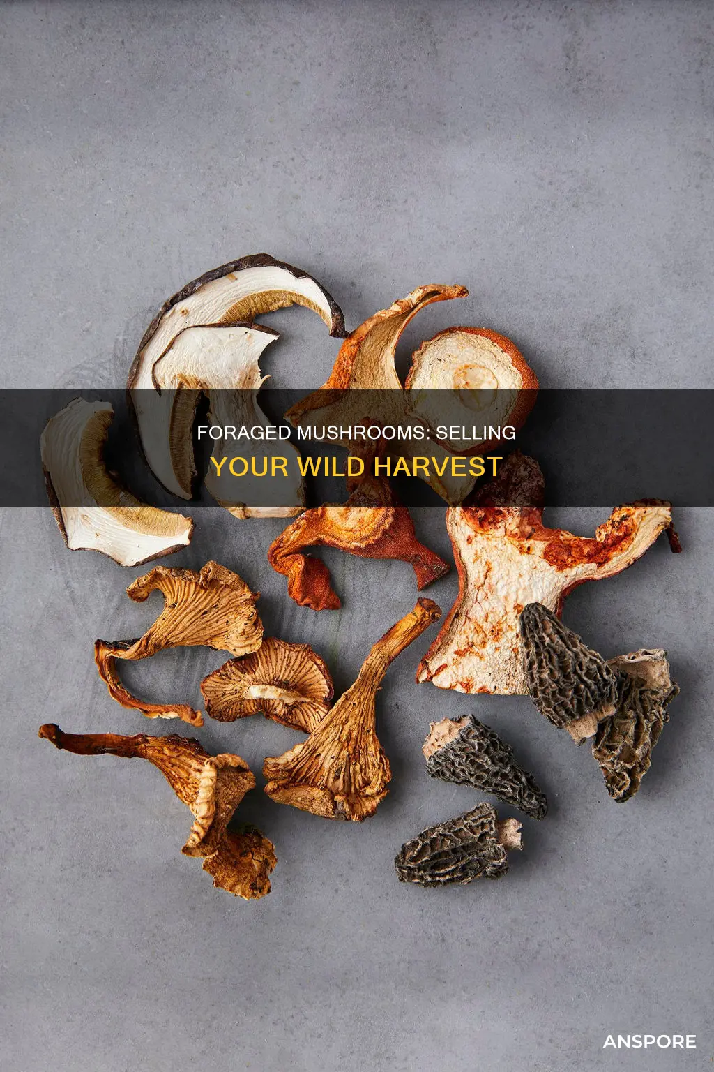 how to sell foraged mushrooms