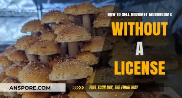 Selling Gourmet Mushrooms: A License-Free Guide to Profitable Harvests