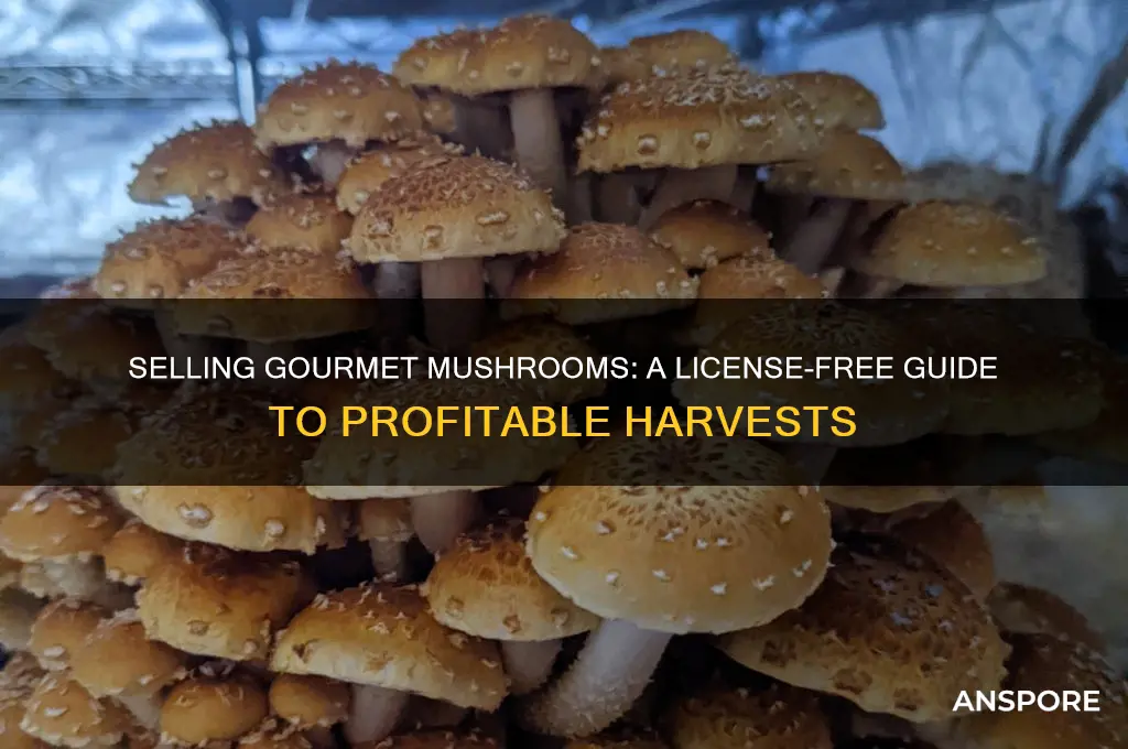 how to sell gourmet mushrooms without a license