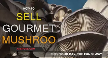 Selling Gourmet Mushrooms: A Guide to Success