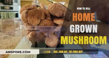 Selling Your Home-Grown Mushrooms: A Profitable Guide for Beginners