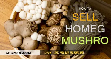 Grow, Sell, Profit: Homegrown Mushrooms