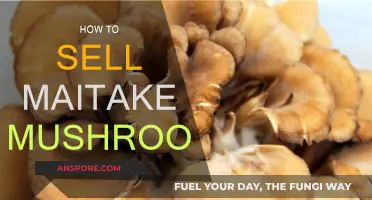 Selling Maitake Mushrooms: Strategies for Success