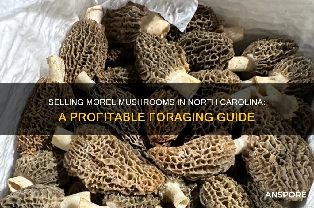 how to sell morel mushrooms in north carolina