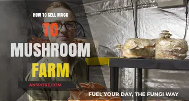 Turning Muck into Money: A Guide to Selling to Mushroom Farms