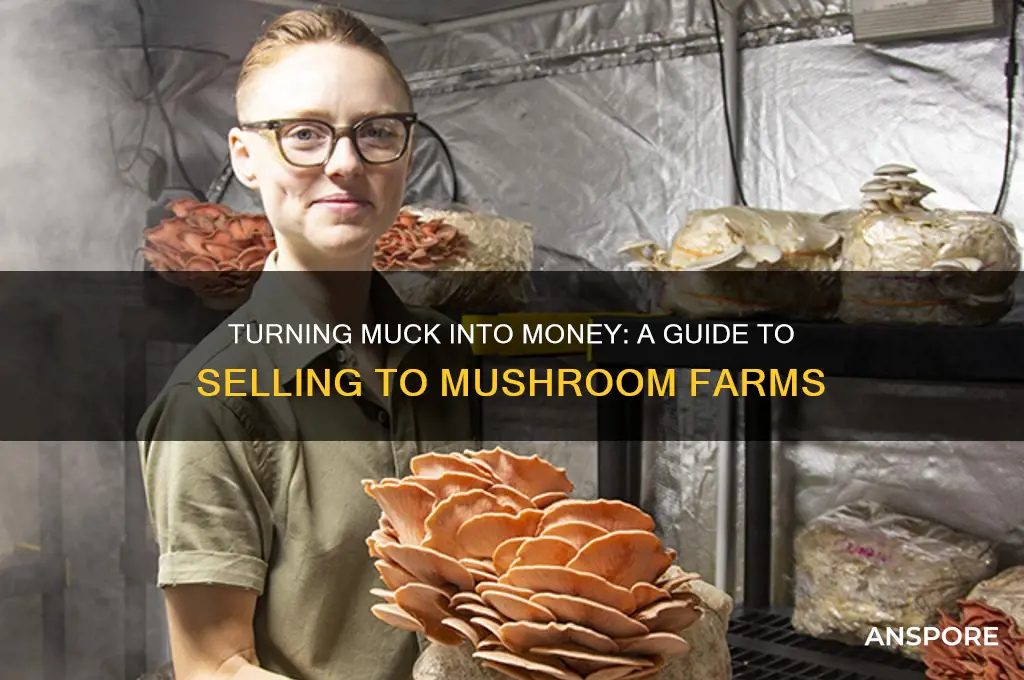 how to sell muck to mushroom farm