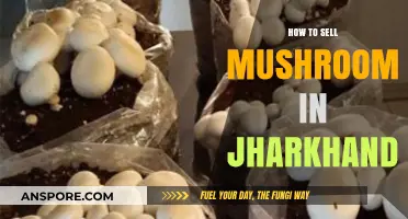 Profitable Mushroom Selling Strategies for Jharkhand's Growing Market