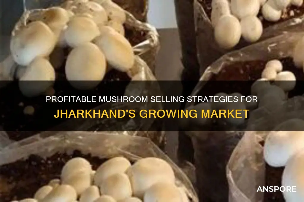 how to sell mushroom in jharkhand
