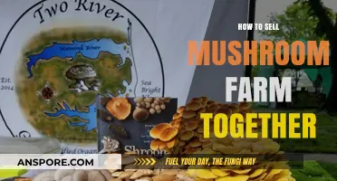 Selling Your Mushroom Farm: A Collaborative Guide to Success