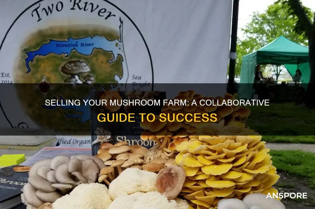 how to sell mushrooms farm together