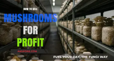 Profitable Mushroom Selling: Strategies for Success in the Fungal Market