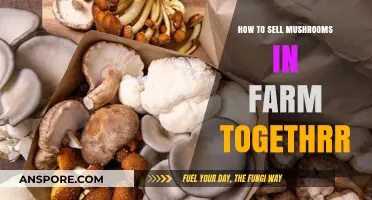 Mastering Mushroom Sales: Strategies for Farm Together Success