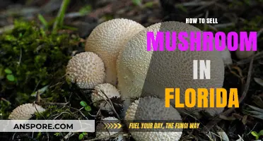 Selling Mushrooms in Florida: A Step-by-Step Guide to Success