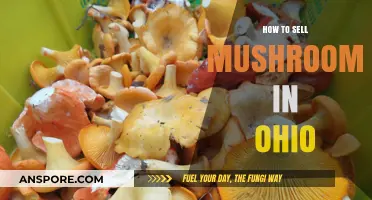 Selling Mushrooms in Ohio: A Step-by-Step Guide to Success