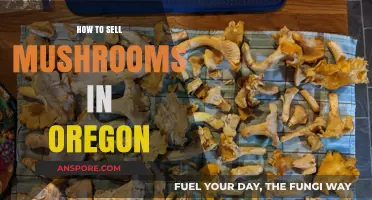 Selling Mushrooms in Oregon: A Comprehensive Guide to Success