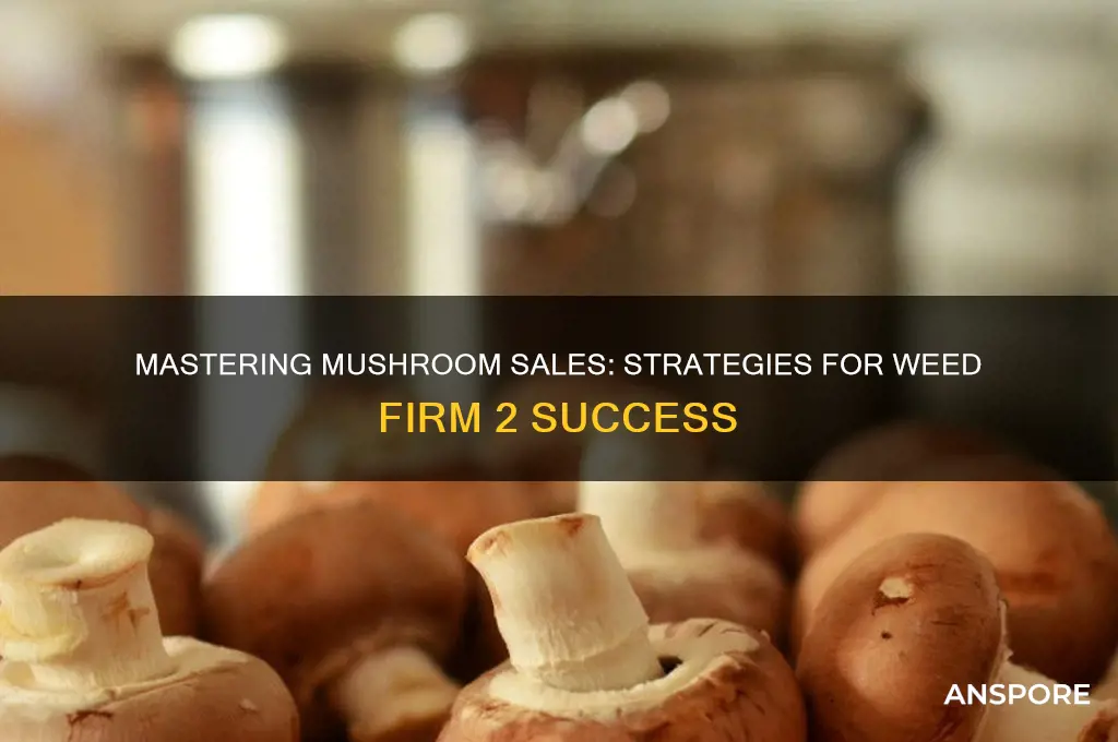 how to sell mushrooms on weed firm 2