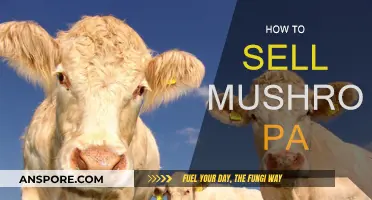 Mushroom Sales: PA's Best-kept Secret