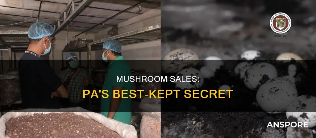 how to sell mushrooms pa