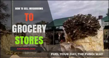 Selling Mushrooms to Grocery Stores: A Comprehensive Guide for Success
