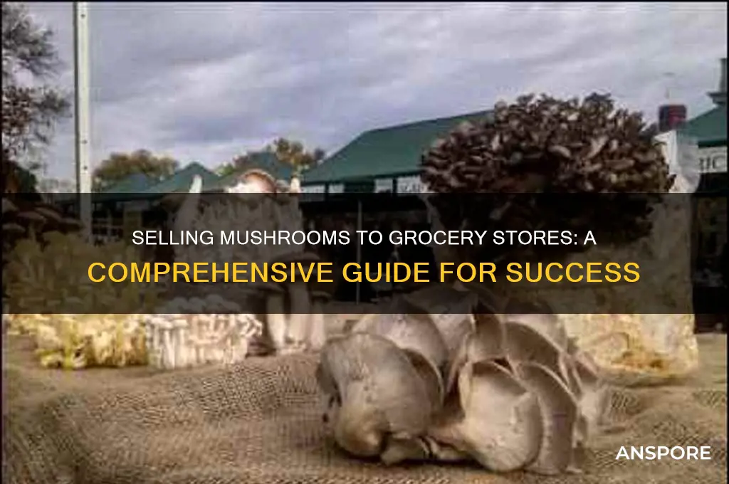 how to sell mushrooms to grocery stores