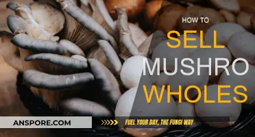 Wholesale Mushroom Sales: A Guide to Success