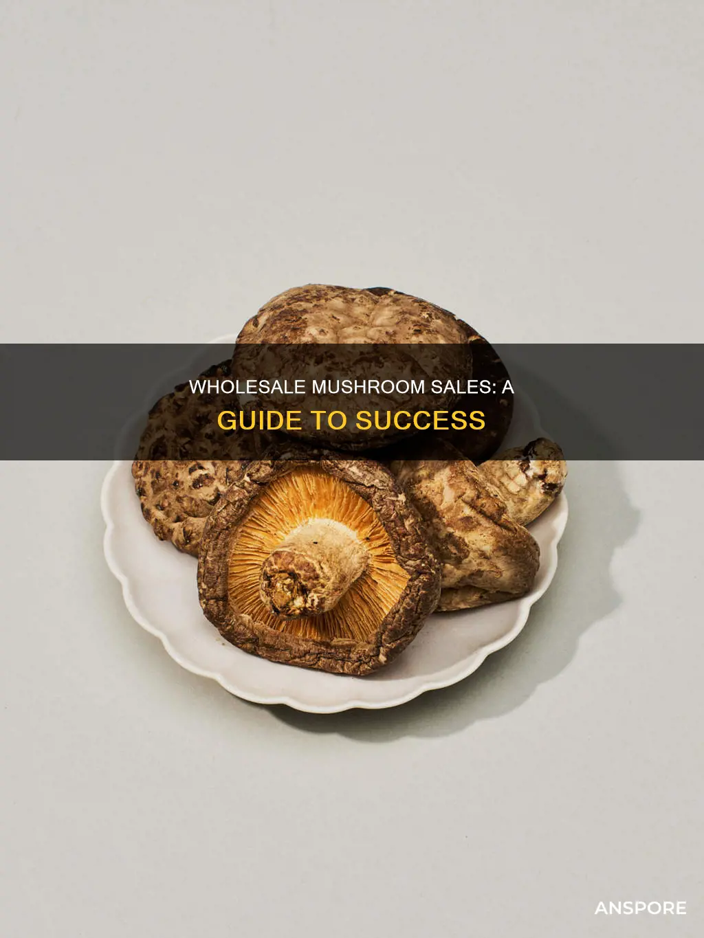 how to sell mushrooms wholesale