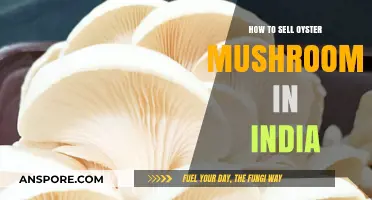 Profitable Oyster Mushroom Sales: A Comprehensive Guide for Indian Entrepreneurs