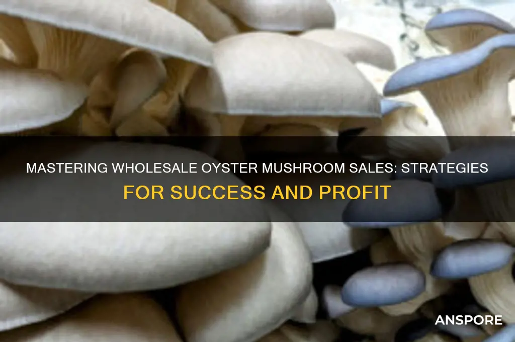 how to sell oyster mushrooms wholesale