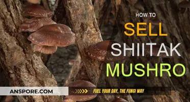 Shiitake Sales: Strategies for Successful Mushroom Marketing